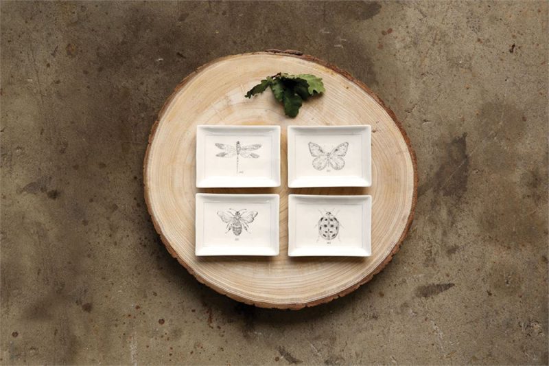 insect dishes